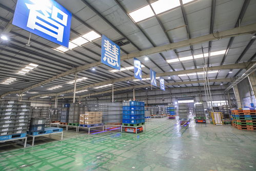 重慶 以智能化驅動轉型升級，汽車零配件批發行業質效雙提升